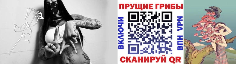 Галлюциногенные грибы мухоморы  Каргополь 